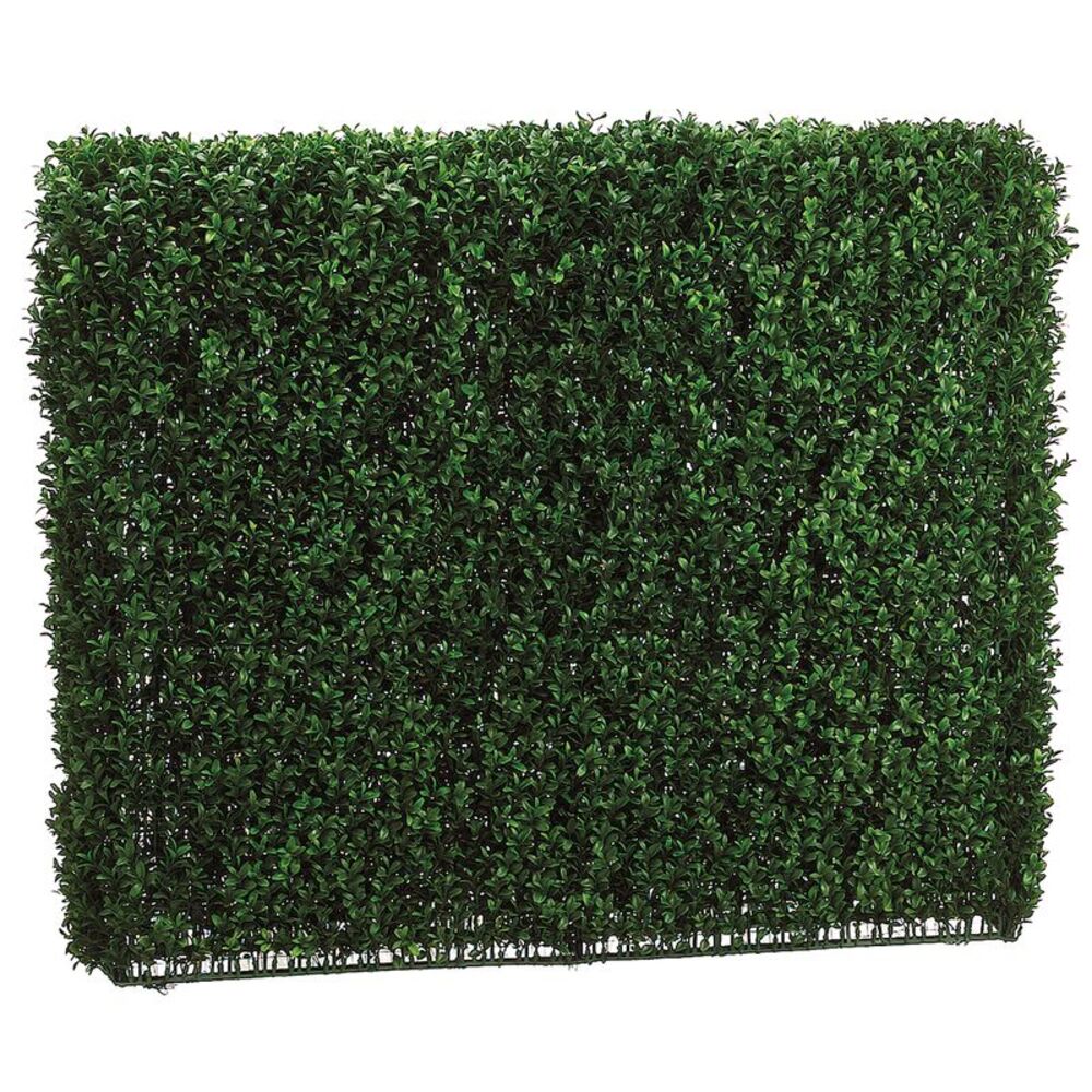 33 Inch Tall Boxwood Hedge Two Tone Green